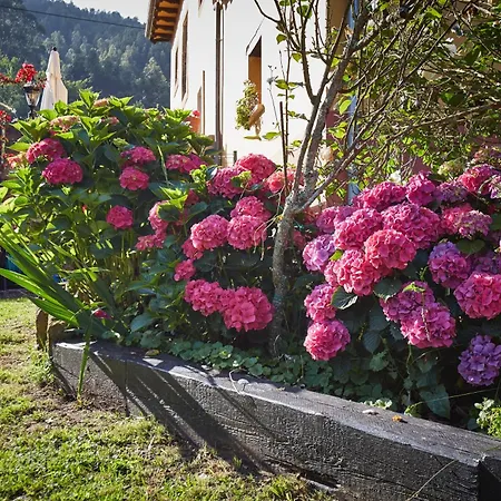 Casa Capion Villaviciosa (Asturias)